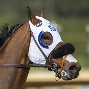 Motorious (GB)